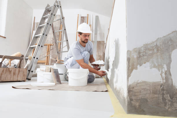 Best Mold Remediation for Vacation Homes  in Amityville, NY